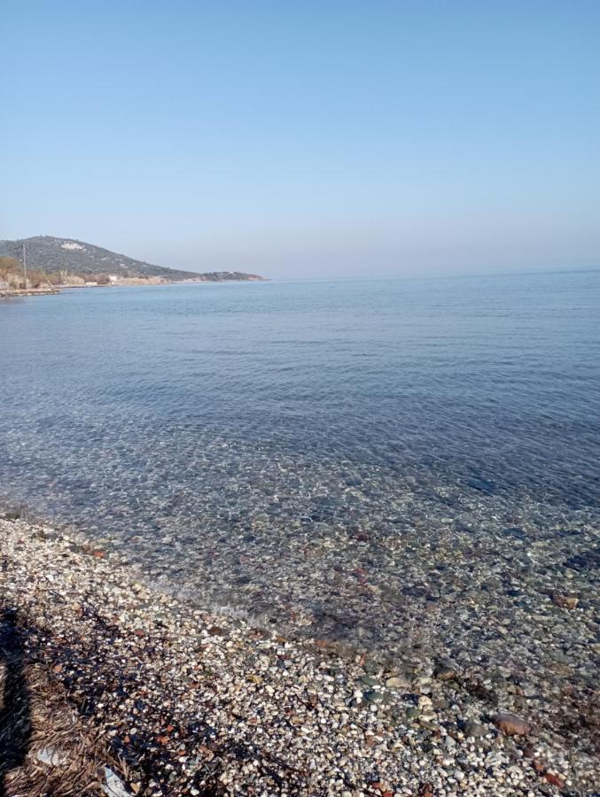 Διαμέρισμα Paradisos