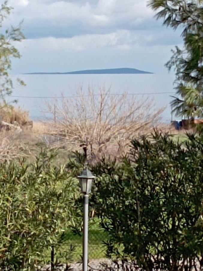 Paradisos * Πύργοι Θέρμης
