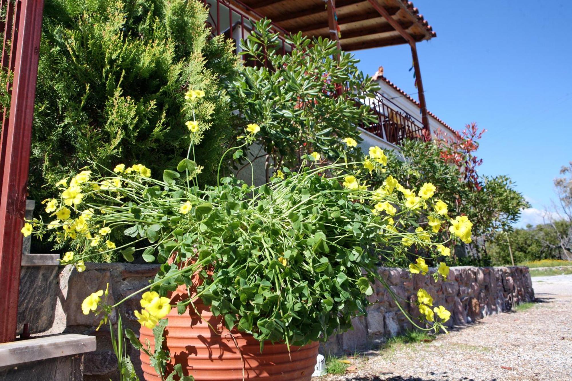 Paradisos Διαμέρισμα Πύργοι Θέρμης