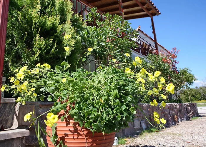 Paradisos Studios